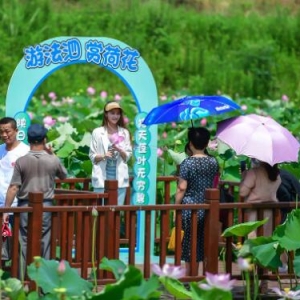 ��h���ĈԳ������ںϣ�����ȫ������ʾ���^