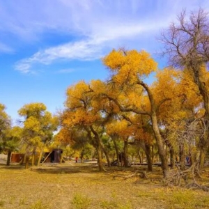 �~���{�Ĵ�����־��^�����������ι������·���D��