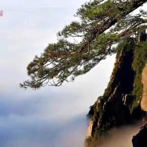 ���Ј��𡹙C����2025���Ї������Ј��AӋ���m���K���{