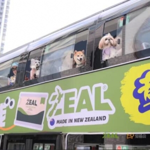 ��Go City �óǡ����о��cͨƱ΢��С�����Ͼ� ���i�¼��������������������˄�