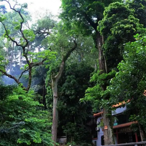 �F�����αؿ����@4�����c׌���浽����ؼң�