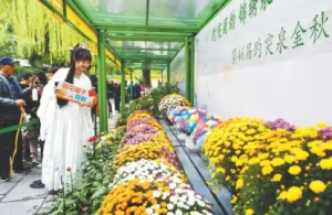 ���Ї����H����Ӱ����S��15�ǡ��l�� �����Q����H����15��