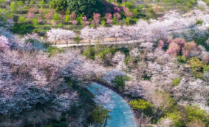 �������{���@6���ط������{���������죬��;���Ǻô���