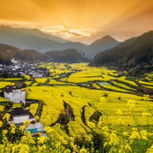 �������΄ٵش�P�c��ʮ����TĿ�ĵ������^ů����