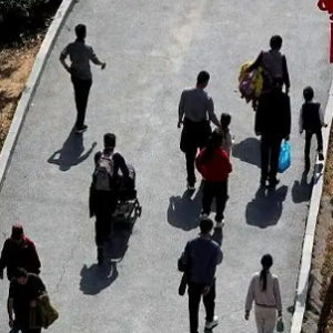 �ŗ��h(yu��n)�����@�����p�������ˡ����T(m��n)�����Ρ�